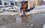 Аварии «Водоканала» парализуют движение и оставляют без воды жителей Казани