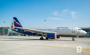 Гендиректор «Аэрофлота» попросил Путина ослабить карантин в регионах