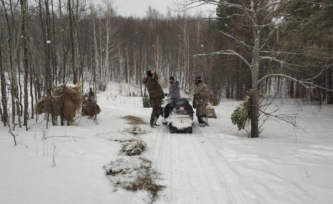 В Татарстане провели рейд по обследованию лесов в поиске больных кабанов