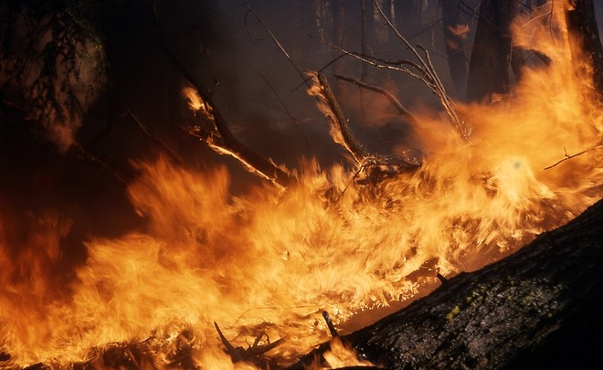 Пожары в Волгоградской области уничтожили более 150 строений