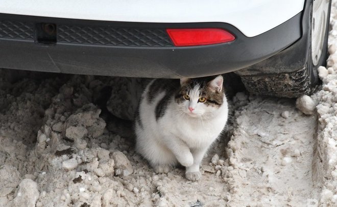 Следующая неделя в Татарстане начнется с холодов до -30°С