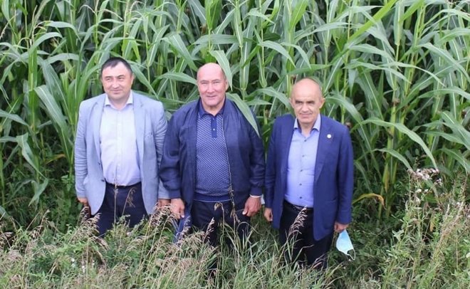 Минниханов в Бугульме и экс-министры в кукурузе: новое в «Инстаграмах» глав районов Татарстана 10 августа