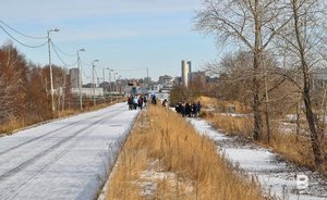 В Челнах и Нижнекамске выявили превышение концентрации диоксида азота в воздухе