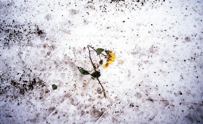 В Уфе грязный снег вывезут с улиц до конца марта