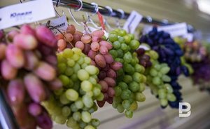 Роспотребнадзор снял ограничения на ввоз некоторых продуктов из Турции