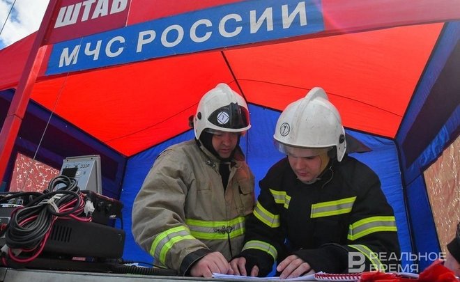 Площадь лесных пожаров в России в 2023 году превысила 4 млн га