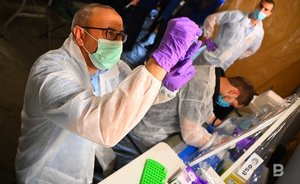 В России заболеваемость гриппом и ОРВИ выросла за неделю на 7%