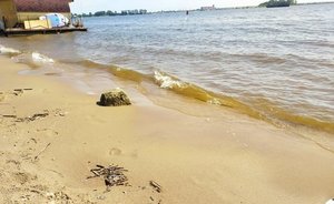 Олеся Балтусова о ситуации с кладбищем «Бишбалта»: «Лишимся наследия, едва его оформив»