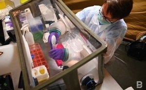 На Украине зарегистрировали первый случай оспы обезьян