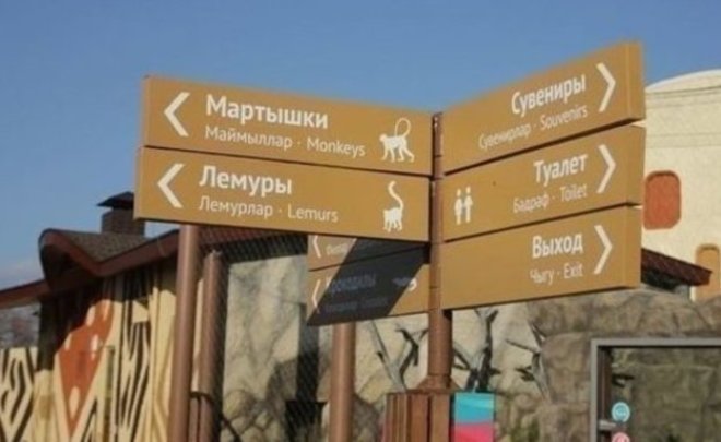 В казанском зоопарке из зимней спячки вышел медведь Фомка