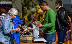 Официальная статистика: в Татарстане снизились цены на яйца, гречку и овощи