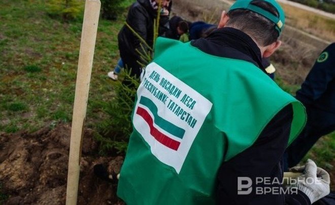 Весной и осенью в Татарстане высадили больше трех миллионов деревьев