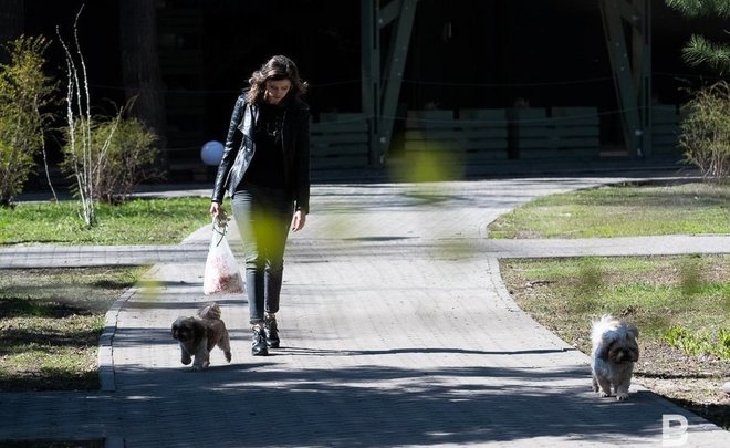 В Татарстан придет потепление: синоптики прогнозируют до +21 градуса