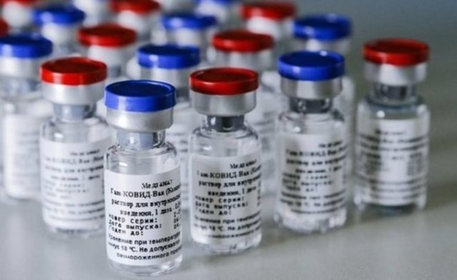 Медики Словакии выступили за закупку вакцины «Спутник V»