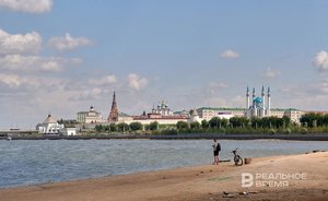 В середине лета в Татарстане сократилось число разводов