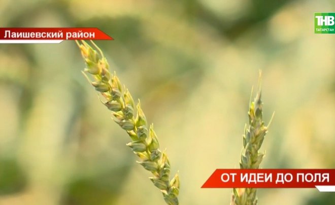В Татарстане представили разработки для аграриев на «Дне поля»