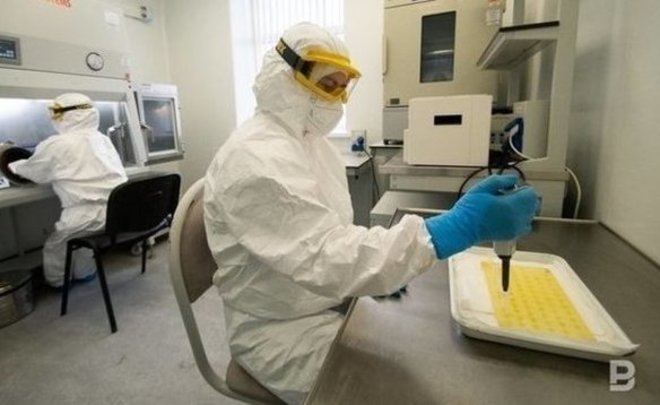 В Роспотребнадзоре оценили вероятность введения локдауна из-за оспы обезьян