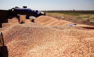 Татарстан завершает уборку зерновых