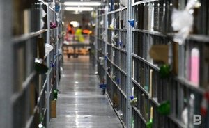 СМИ: ретейлеры дадут гарантию на год на ввезенную в Россию по параллельному импорту технику