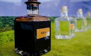 СМИ: США и союзники обсуждают цену нефти из России на уровне $40—60