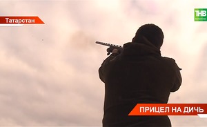 В Татарстане стартовал сезон охоты на болотно-луговую дичь — видео