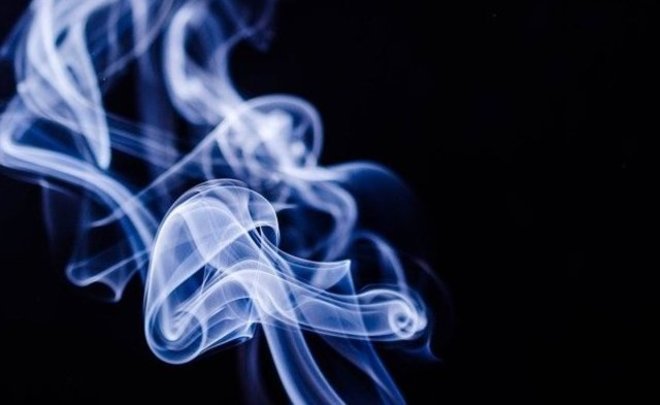С начала 2022 года в российской табачной отрасли выявили нарушений на 16,5 млрд рублей