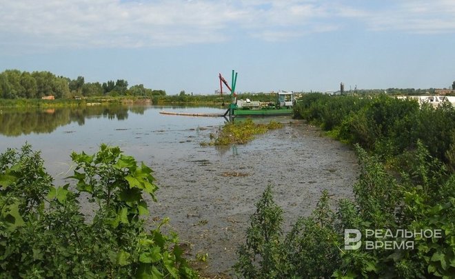 В 2023 году сумма ущерба, причиненного окружающей среде в Казани, составила более 1 млрд рублей