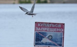 В МЧС Татарстана назвали пять главных причин гибели людей на воде