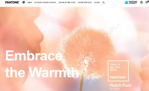 Pantone выбрал главный цвет 2024 года — «персиковый пух»