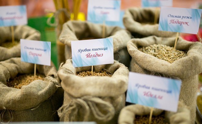 Минсельхоз РФ ввел негласные ограничения на экспорт зерна