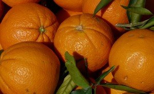 За месяц в крупнейших продуктовых магазинах Казани апельсины подешевели на 26%