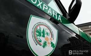 Татарстан смог не допустить лесных пожаров в 2023 году