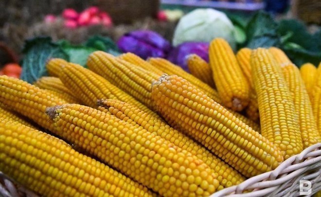 В Казани в эту субботу пройдут сельскохозяйственные ярмарки