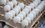 Яйца стали самым подорожавшим в Татарстане продуктом за неделю