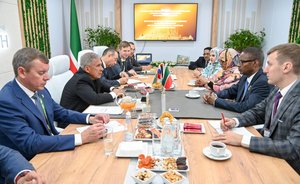 Рустам Минниханов поручил усилить работу по взаимодействию со странами Африки в сфере АПК