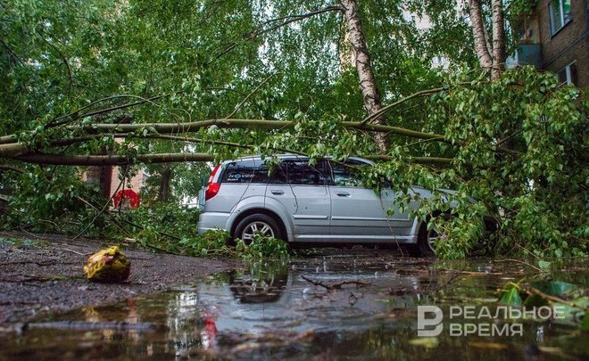 Татарстанцев предупредили о грозе и сильном ветре 18 июля
