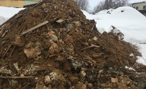 Прокуратура Татарстана обязала «Даль-Каму» вывезти тухлую курятину, которую закопали у Волги