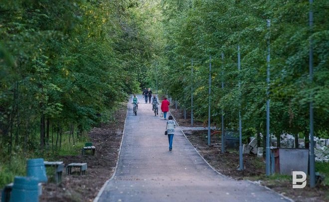 Три пункта наблюдения зафиксировали повышенную концентрацию формальдегида в воздухе Казани