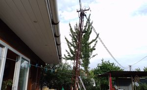 Минсельхоз Татарстана дал садоводам 12 дней на сборы за субсидией