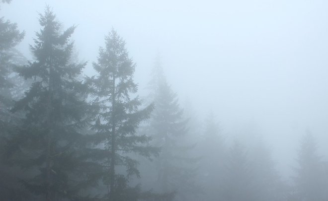 МЧС Татарстана предупредило о тумане