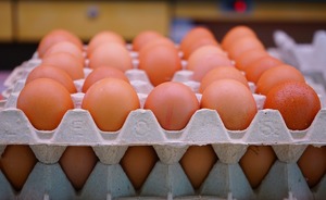 Куриные яйца подорожали в магазинах Казани на 17%