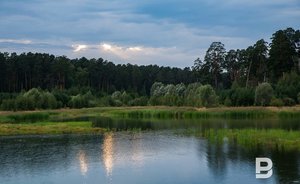 В Татарстане продлили штормовое предупреждение о высокой и чрезвычайной пожароопасности лесов