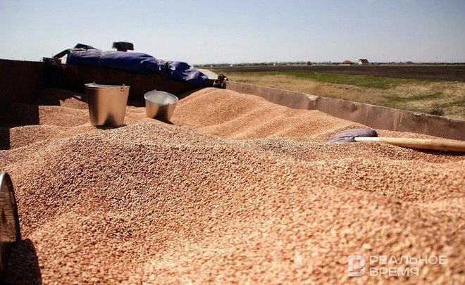 Россия хочет решить вопрос поставок зерна для Африки в ближайшие месяцы