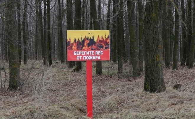В Татарстане сохраняется штормовое предупреждение о пожарной опасности лесов