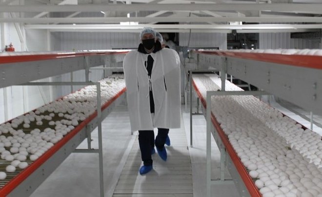 Министр сельского хозяйства Татарстана ознакомился с работой крупнейшего в республике производителя яиц