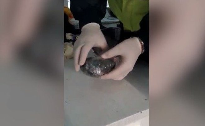 Житель Ижевска пытался провезти через Казань крупную партию героина