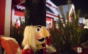 В Казани сдать новогоднюю елку можно будет с 10 января