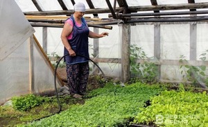 Эксперты прогнозируют гибель посевов в Татарстане