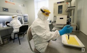Эпидемиолог прокомментировала сообщения о выявлении нового коронавируса