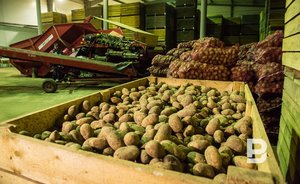 В Минэкономики Татарстана объяснили рост цен на «борщевой набор»